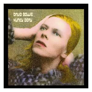 David Bowie Rock Saws Puzzle Hunky Dory (500 piezas) - Collector4u.com