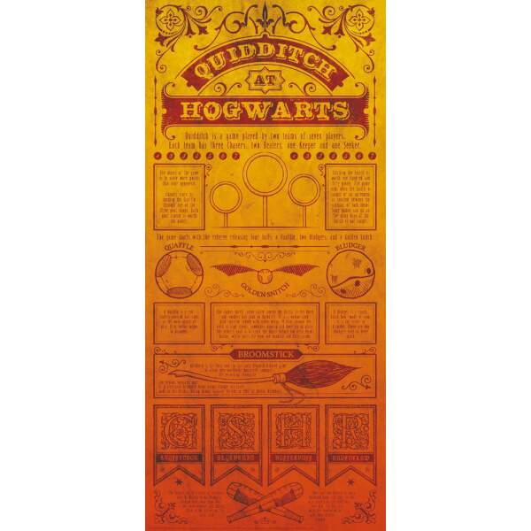 Litografia Quidditch Harry Potter 42 x 19 cm - Collector4u.com