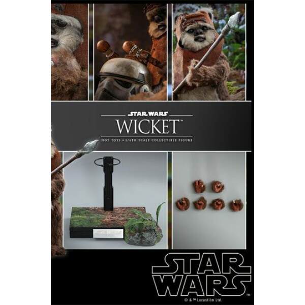 Figura Wicket Star Wars Episodio VI, Movie Masterpiece 1/6 15 cm Hot Toys - Collector4U.com