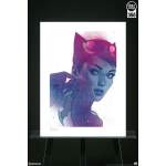 Litografia Catwoman DC Comics #7 46 x 61 cm - Collector4u.com