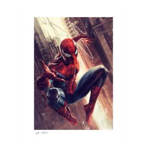 Litografia The Amazing Spider-Man Marvel 46 x 61 cm -Sin enmarcar - Collector4u.com