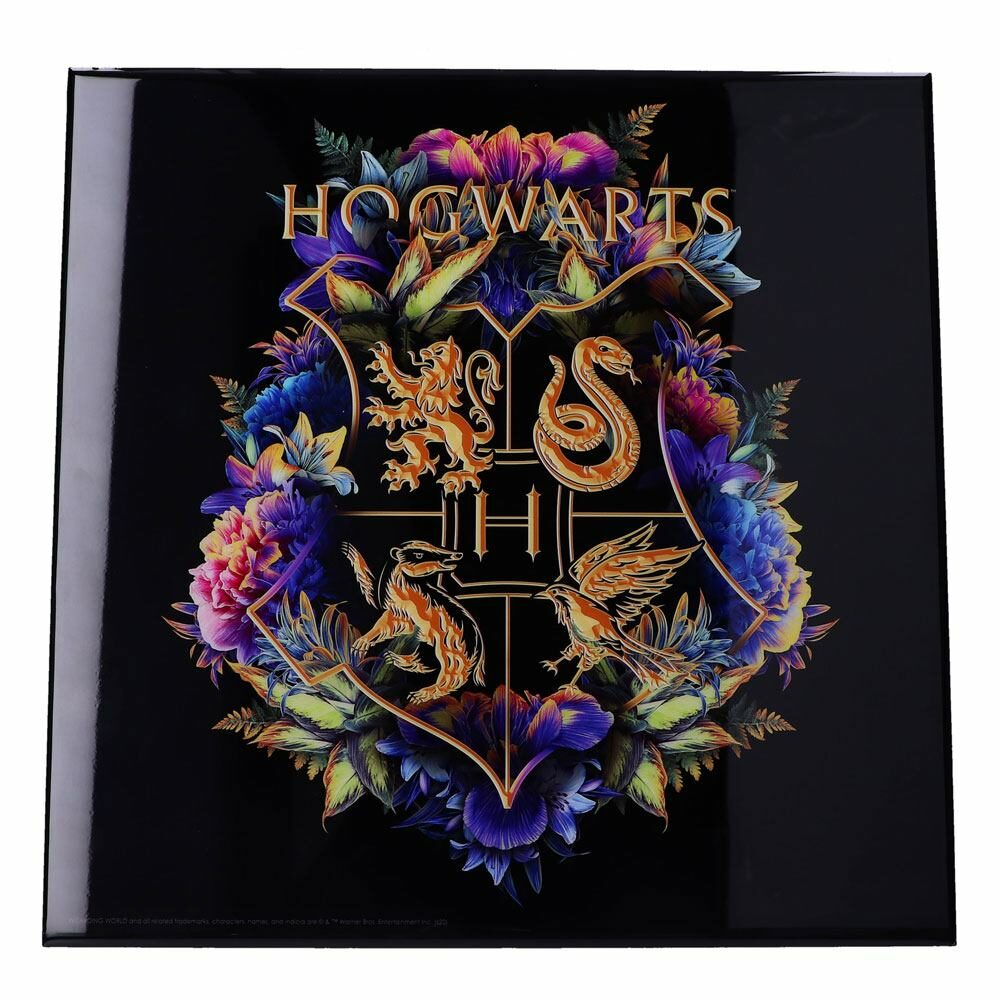 Mural Hogwarts Fine Oddities Crystal Clear Picture Harry Potter 32x32cm - Collector4u.com