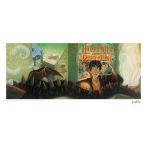 Litografia Goblet of Fire Harry Potter Book Cover Artwork Limited Edition 42 x 30 cm - Collector4u.com