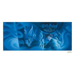 Litografia Order of the Phoenix Harry Potter Book Cover Artwork Limited Edition 42 x 30 cm - Collector4u.com