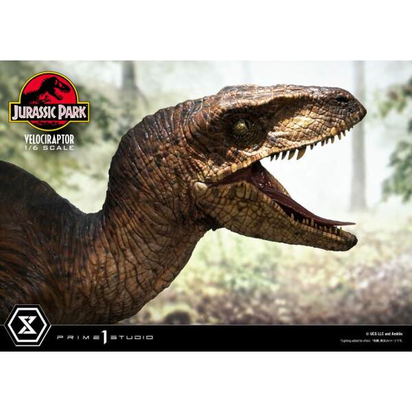 Estatua Velociraptor Jurassic Park Legacy Museum Collection Attack 1/6 38 cm Prime 1 Studio - Collector4U.com