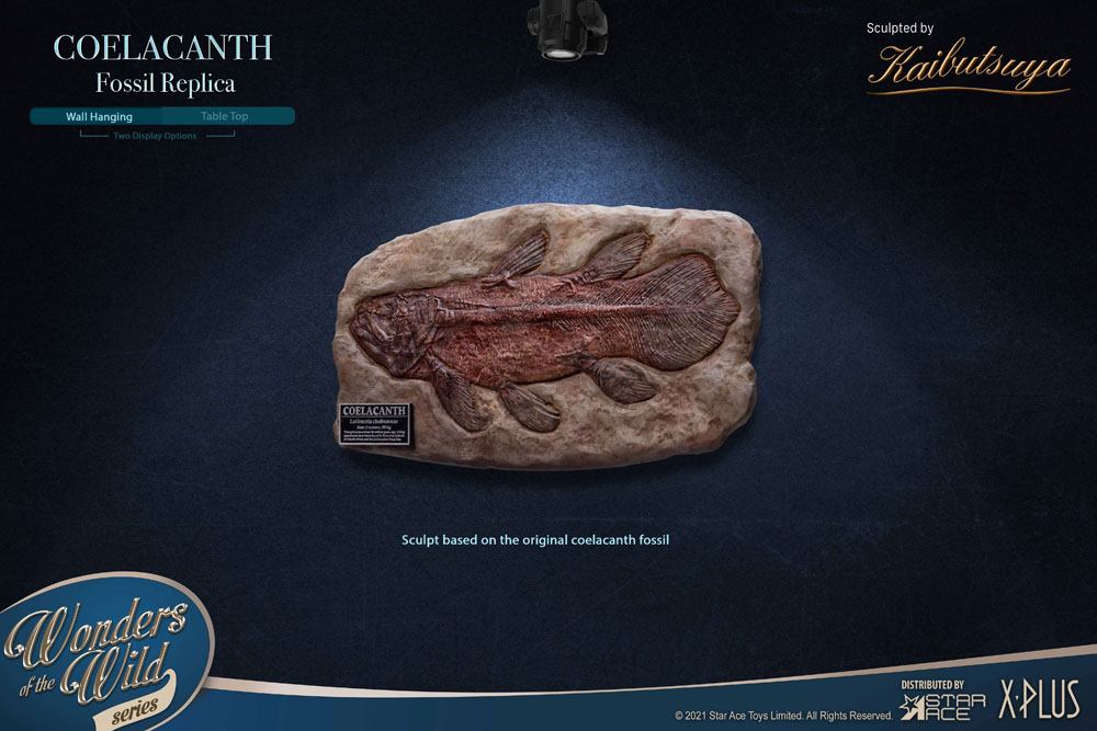 Mini Réplica Coelacanth Fossil Wonders of the Wild 32cm X-Plus
