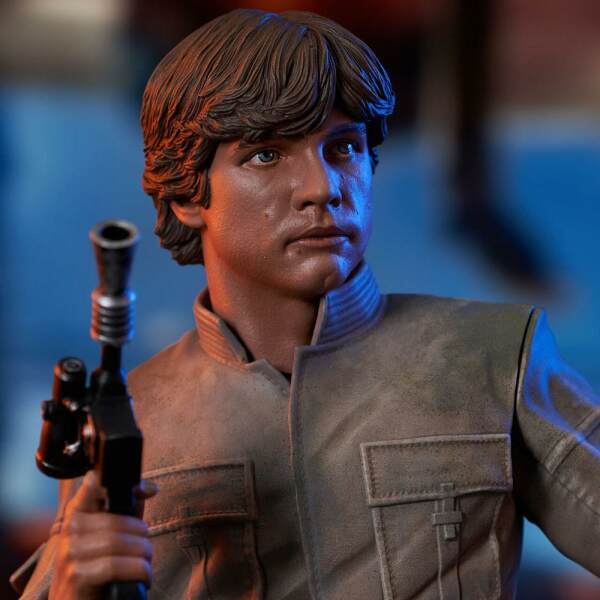 Busto Luke Skywalker Star Wars Episode V 1/6 15 cm Gentle Giant - Collector4U.com