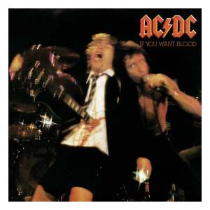 AC/DC Rock Saws Puzzle If You Want Blood (500 piezas) - Collector4U.com