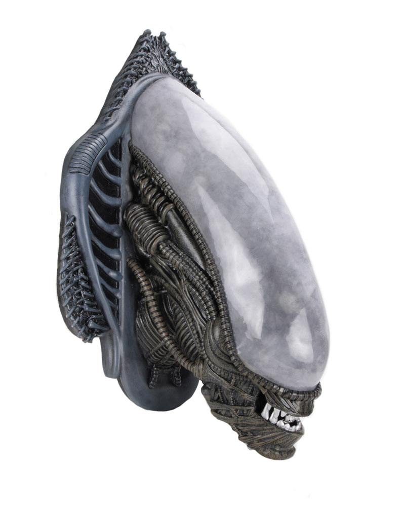 Alien Trofeo para colgar en la pared Xenomorph (goma espuma/látex) 78 cm - Collector4U.com