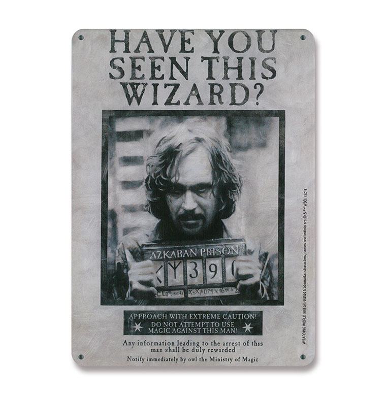 Placa de Chapa Have You Seen This Wizard Harry Potter 15 x 21 cm Logoshirt - Collector4U.com