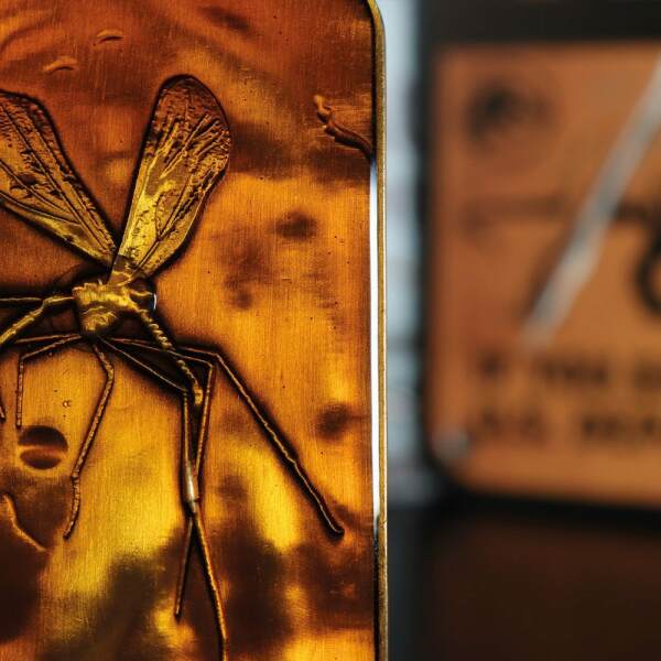 Lingote Mosquito in Amber Parque Jurásico Limited Edition FaNaTtik - Collector4U.com