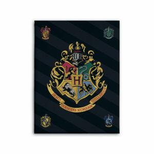 Manta Harry Potter Hogwarts banderas 100cm - Collector4u.com