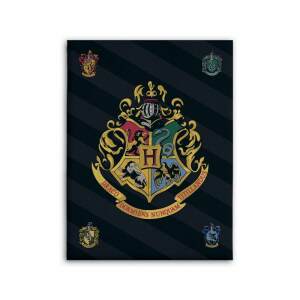 Manta Harry Potter Hogwarts banderas 100cm - Collector4U.com