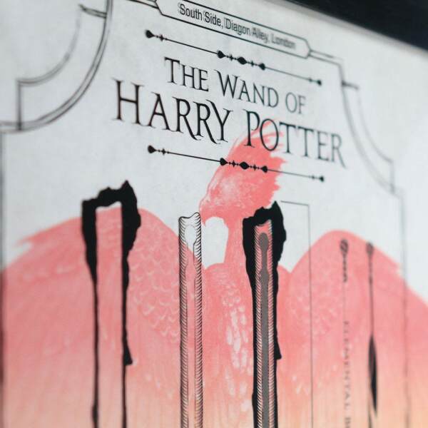 Litografía Limited Edition Fan Cel Harry Potter 36 x 28 cm - Collector4U.com