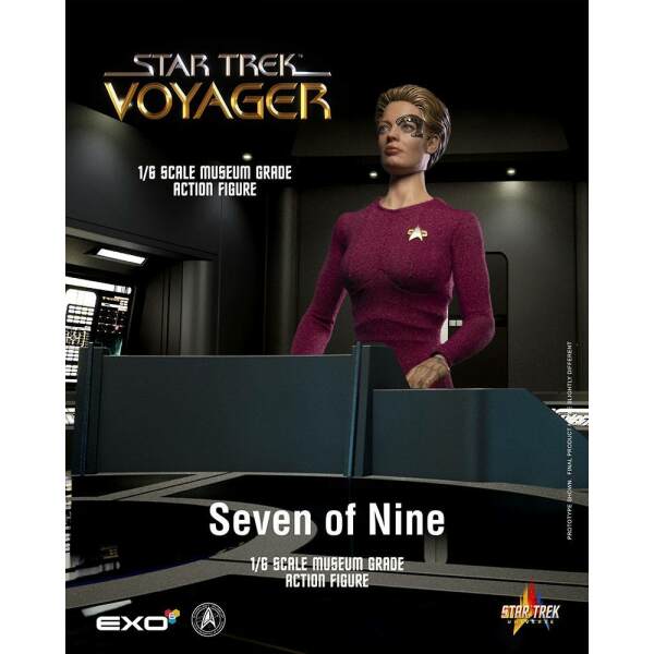 Figura Seven of Nine Star Trek: Voyager 1/6 30 cm - Collector4u.com