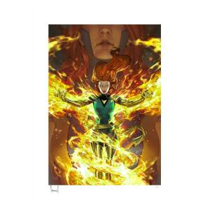 Litografia Jean Grey Marvel Phoenix Transformation 46 X 61 Cm