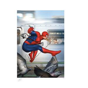 Marvel Litografia The Amazing Spider-Man 46 x 61 cm – sin marco - Collector4u.com