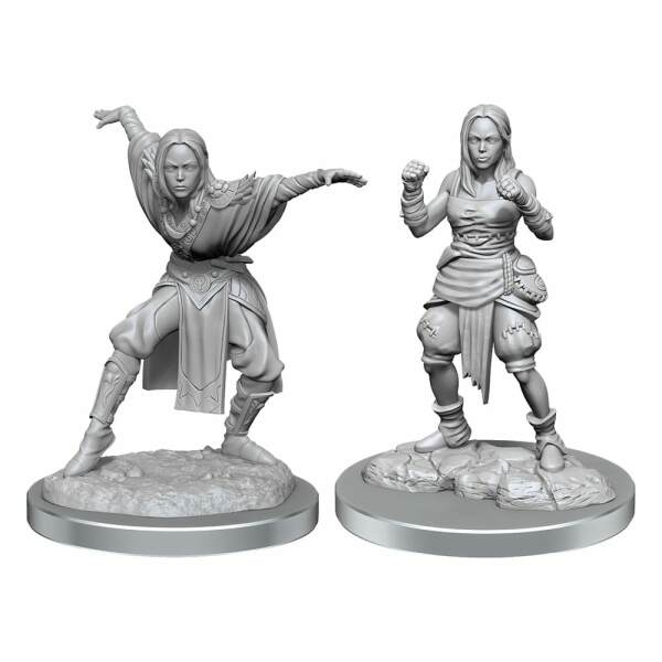 Pathfinder Battles Deep Cuts Pack de 2 Miniaturas sin pintar Half-Elf Monk Female Caja (2) - Collector4U