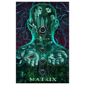 The Matrix Litografia 41 x 61 cm - sin marco - Collector4U