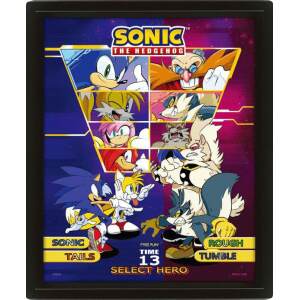 Sonic The Hedgehog Enmarcado Póster Efecto 3D Select Your Fighter 26 x 20 cm - Collector4U