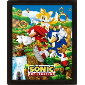 Sonic The Hedgehog Póster Efecto 3D Catching Rings 26 x 20 cm - Collector4U