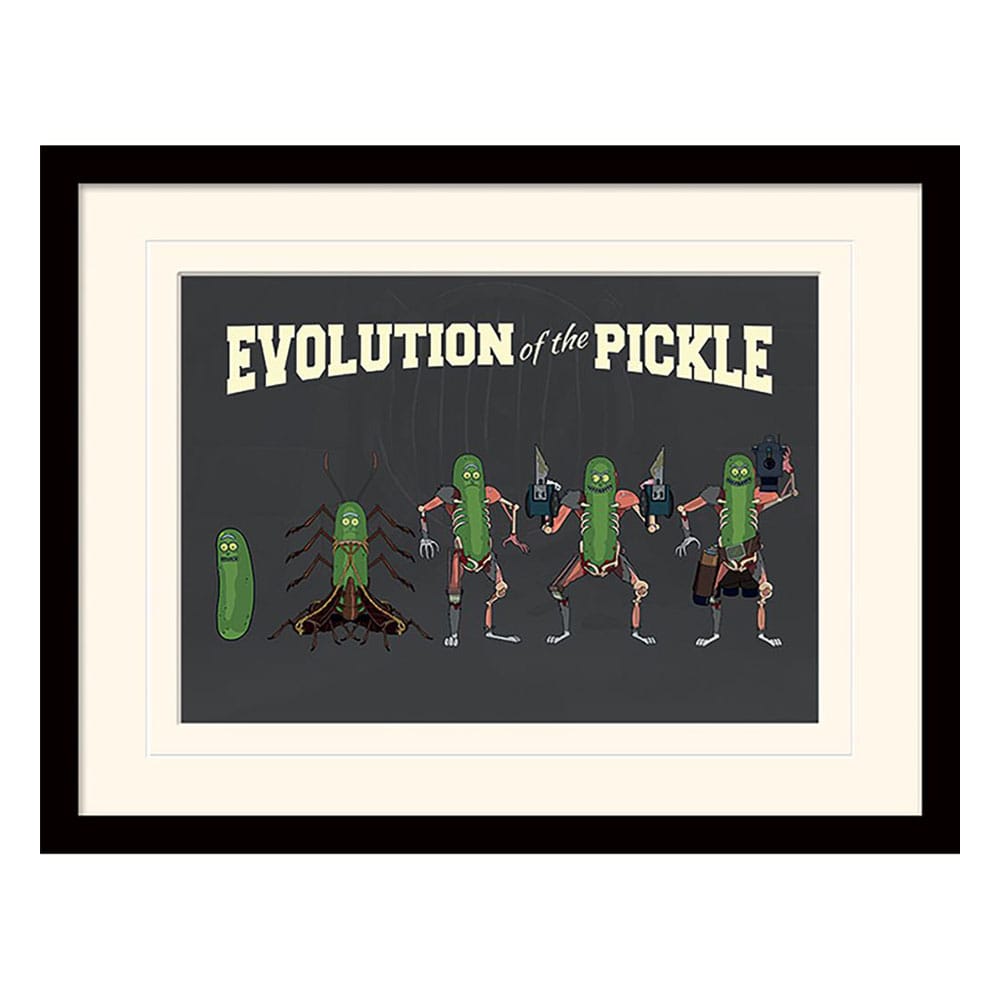 Rick and Morty Póster Enmarcado Collector Print Evolution of the Pickle (white background)