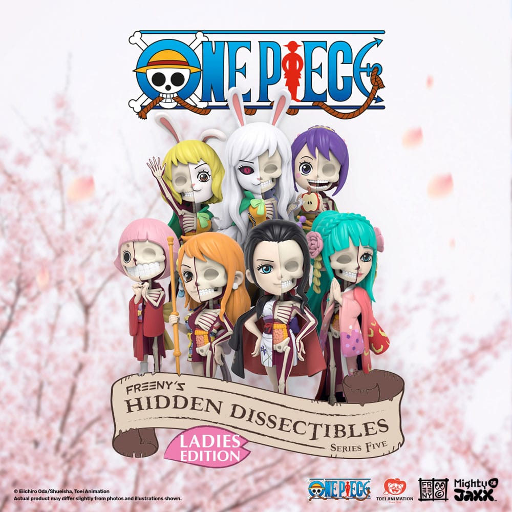One Piece Blind Box Hidden Dissectibles Series 5 (Ladies ed.) Expositor (6)