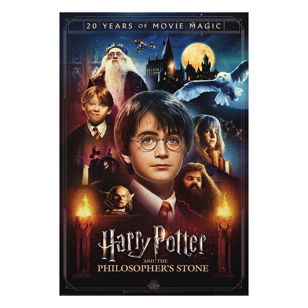 Harry Potter Set de 4 Pósteres 20 Years of Movie Magic  61 x 91 cm (4)
