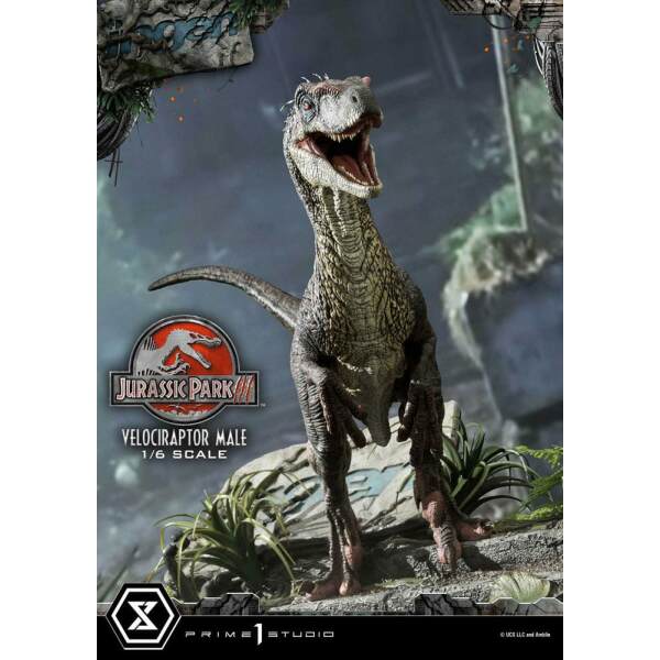 Jurassic Park Iii Estatua Legacy Museum Collection 1 6 Velociraptor Male 40 Cm